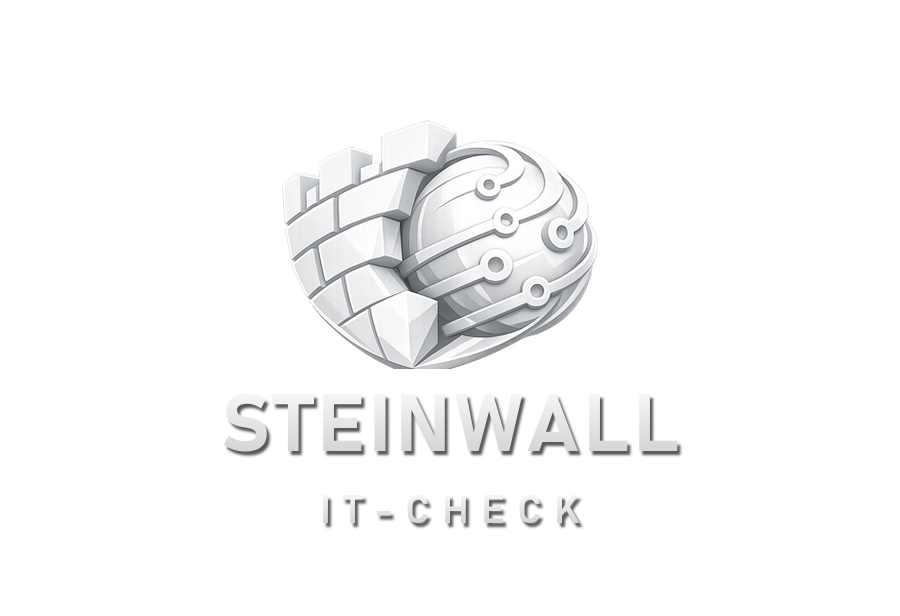 STEINWALL IT-Check